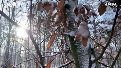 Parigi, il Bois de Vincennes ricoperto dalla neve