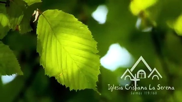 9.- BIBLIOLOGIA - LIBROS APOCRIFOS & DEUTEROCANÓNICOS