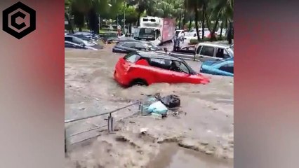 ACABA DE TOCAR TIERRA CICLÓN BELAL EN FRANCIA CON VIENTOS DE 200 KH, LOS ARBOLE SE ROMPEN
