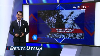 Kronologi Anak Balita Tewas Tersengat Tawon di Kawasan Puncak