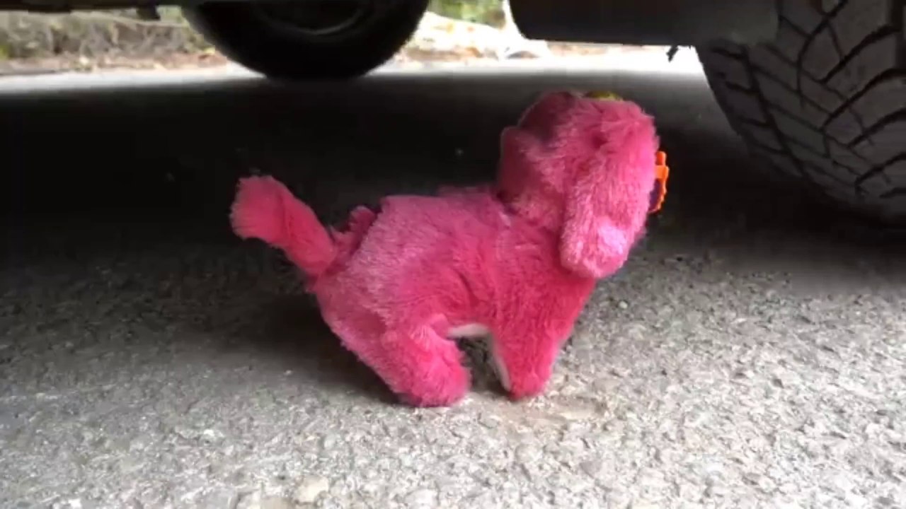 سحق الأشياء الناعمة والمقرمشة بالسيارة _Crushing soft objects with a car