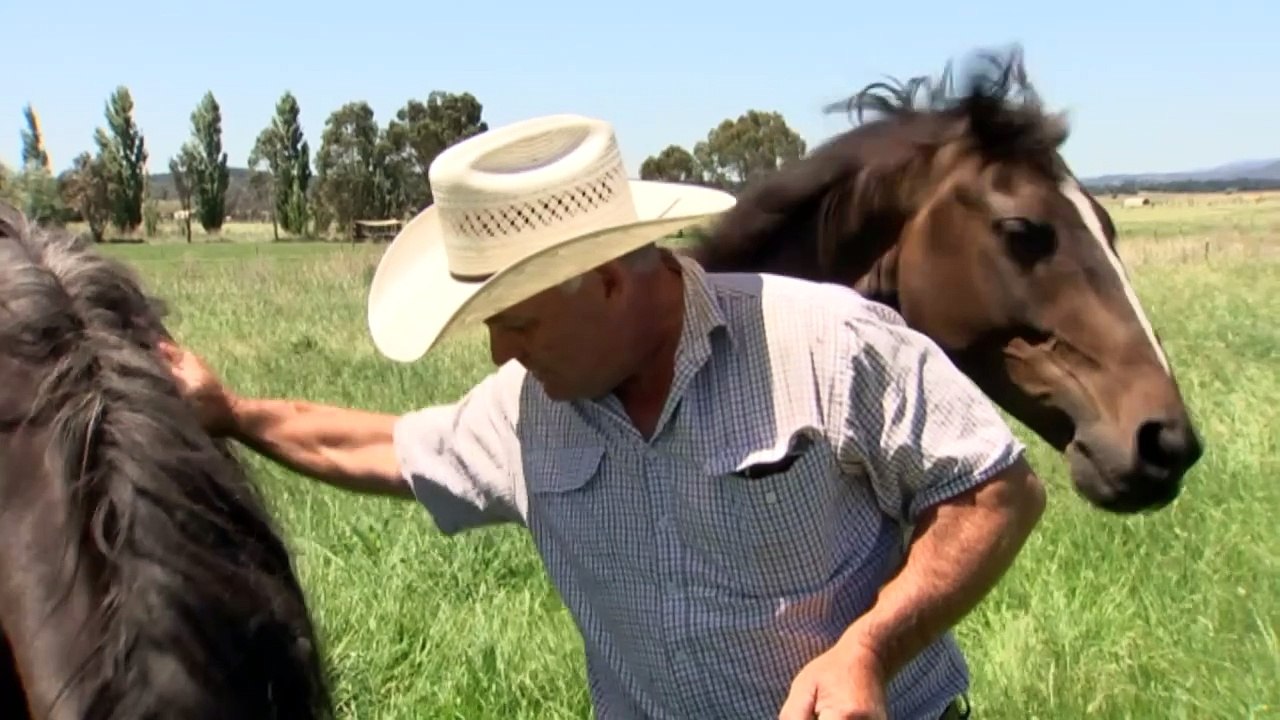 Majura Valley farmers say they’re in ‘no-man’s land’ after ACT government promise on lease deals stalls