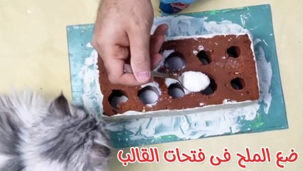 قل وداعا لبرد الشتاء بدون غاز ولا كهرباء/ حيل وافكار منزليه