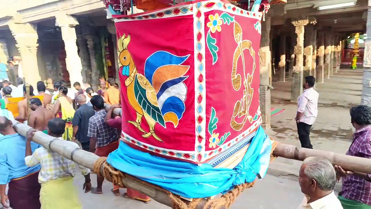 பழனி முருகன்கோவில் தைப்பூசத் திருவிழா கொடியேற்றத்துடன் தொடக்கம்; அரோகரா கோஷம் எழுப்பி பக்தர்கள் பரவசம்