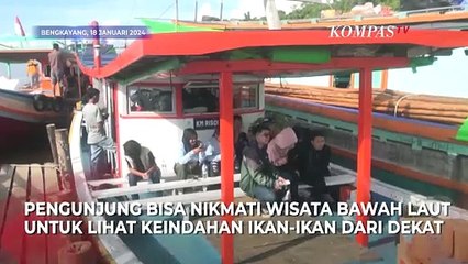 Intip Keindahan Destinasi Wisata Bawah Laut di Pulau Lemukutan
