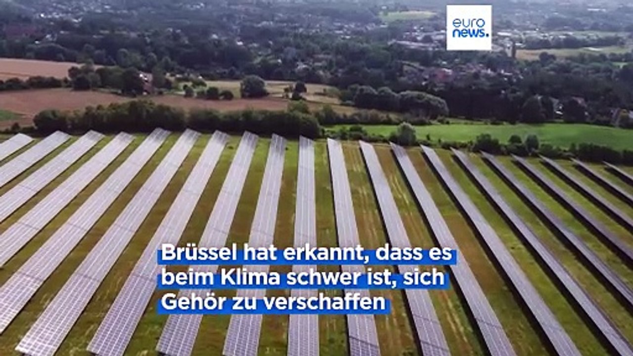 Brüssel wirbt in Davos für den Green Deal