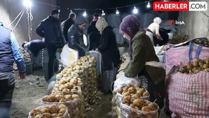 Türkiye'nin patates ihtiyacı, Kapadokya'daki depolardan karşılanıyor