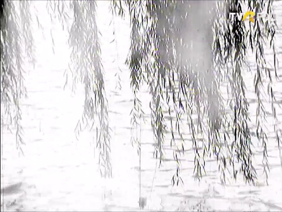 Ileana Sararoiu - Doi voinici din Valea Mare (arhiva TVR)
