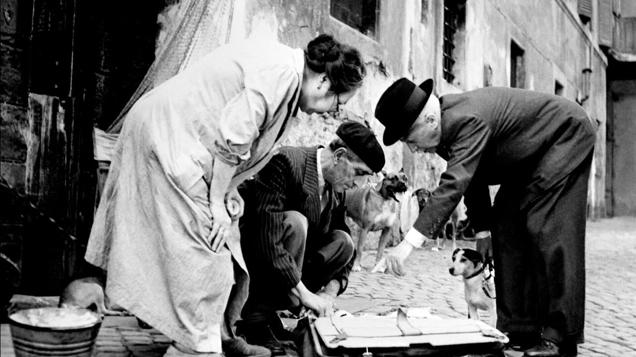Umberto D