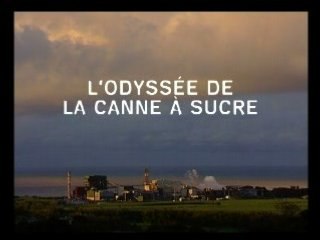 L'Odyssée de la canne à sucre