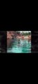 Bambino morso da uno squalo nella piscina di un hotel di lusso