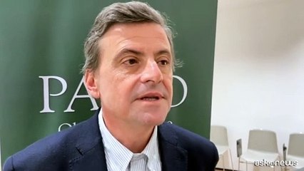 Saluto romano, Calenda: problema culturale, ripartire dalle scuole