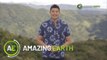 Amazing Earth: Dingdong Dantes and Amazing Earth receive Gawad Lasallianeta! (Online Exclusive)