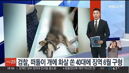 "맞을 줄 몰랐다" 떠돌이개에 화살 쏜 40대에 징역 6월 구형