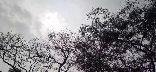 सर्दी का सितम जारी, भूमिपुत्रों की बढ़ रही चिंता