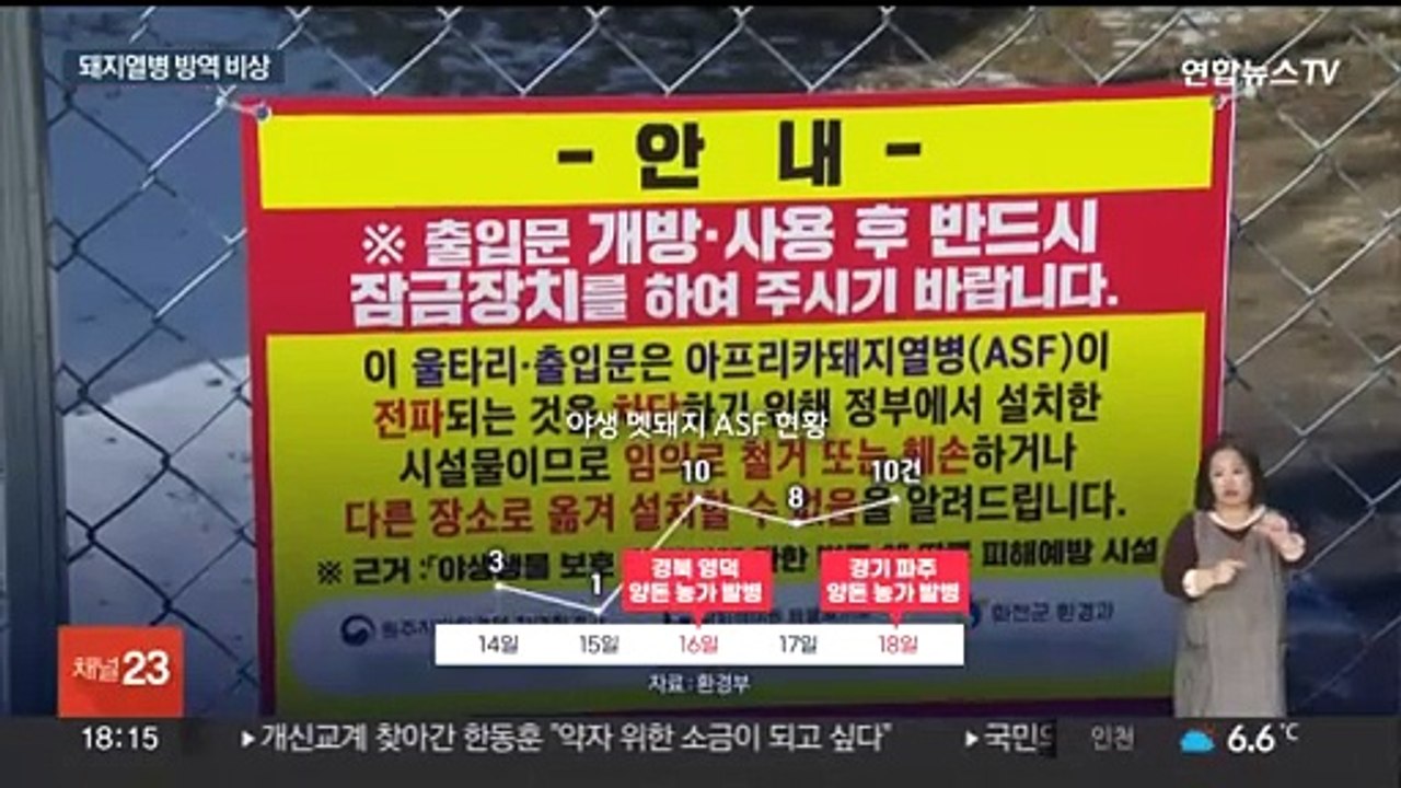 백신도 없는 돼지열병 연쇄 확진…전국 확산 우려