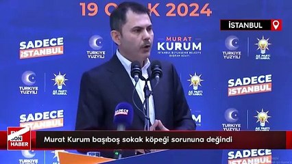 Murat Kurum başıboş sokak köpeği sorununa değindi