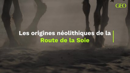 Les origines néolithiques de la Route de la Soie