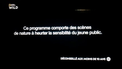 SHARK ATTACK  ! S01E02