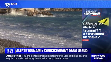 Alerte au tsunami: y a-t-il vraiment un risque en France? BFMTV répond à vos questions