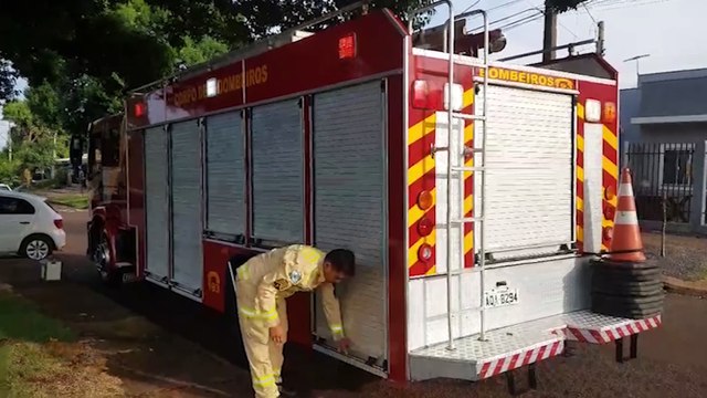 Jararaca é capturada pelo Corpo de Bombeiros no Siena