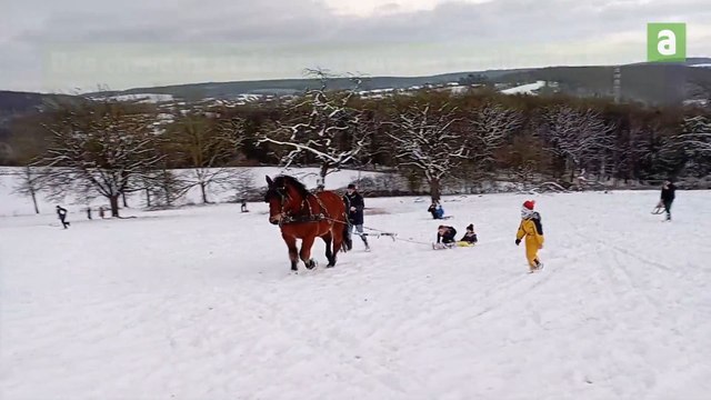 Floreffe/Fosses-la-Ville: des chevaux et des tracteurs au service de la glisse
