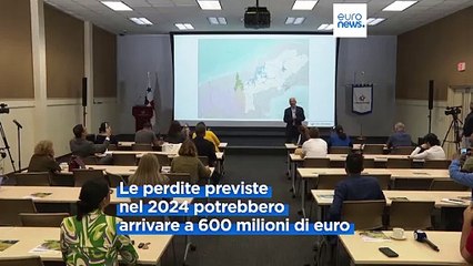 Canale di Panama: diminuisce il passaggio di navi per la siccità