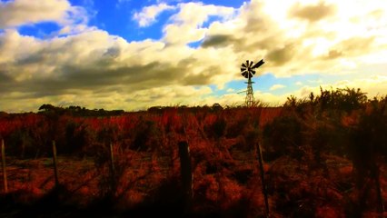 3 HISTORIAS REALMENTE SOMBRÍAS QUE NUNCA SALDRÁN DE TU CABEZA