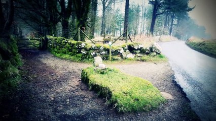 3 Inquietantes Historias Para Creer En Lo Increíble