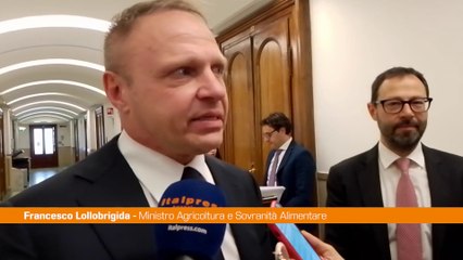 Lollobrigida "Con fondo per agroalimentare sosteniamo le eccellenze"