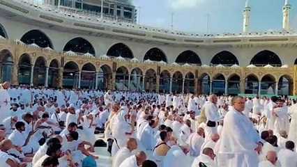 @busdriver @makkah @madina @umrah