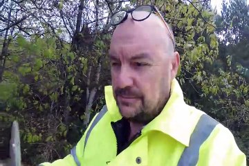 Mod Scooter Mirror 2023