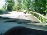 Descente du Col du Granier  en Roller