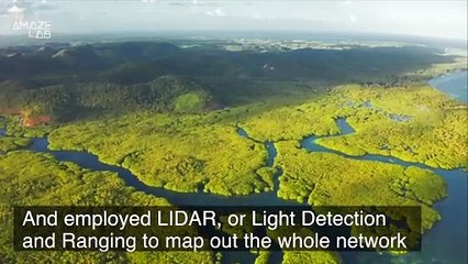 Archeologists Discover Largest Ancient City Network Ever Found in the Amazon