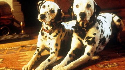 Les 101 dalmatiens