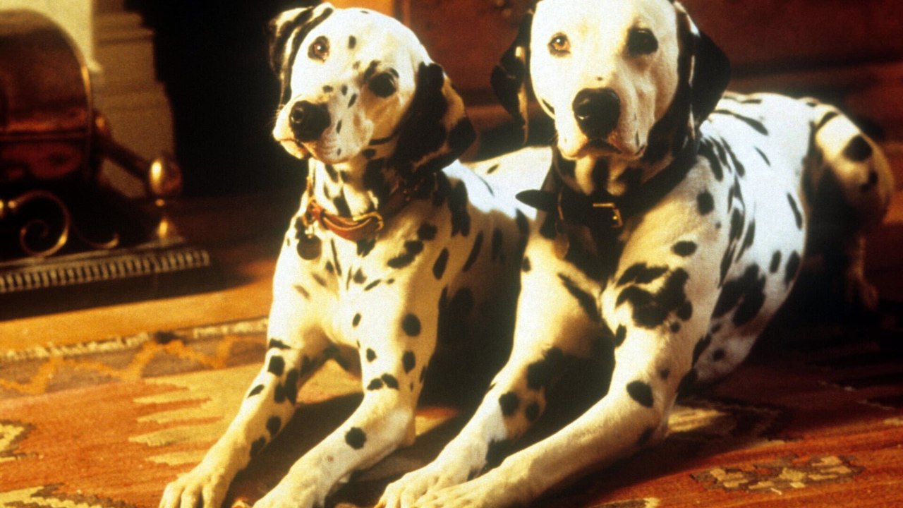 Les 101 dalmatiens