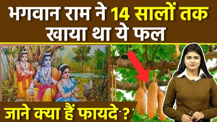 Shri Ram 14 Years Vanvas में Kandmool Fruit खाते थे, Benefits in Hindi | Boldsky
