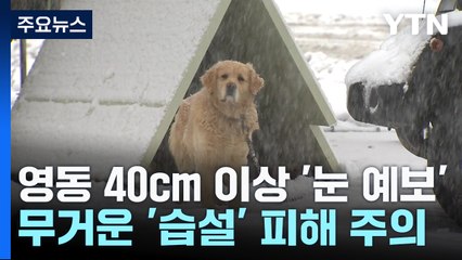 [날씨] 영동 40cm 이상 '무거운 눈' 예고...그 무게는? / YTN