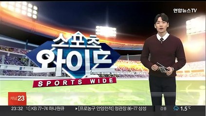 강원동계청소년올림픽, 강릉·평창서 개막…14일간 열전
