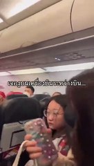 Cobra \'apanhada\' a bordo de voo doméstico na Tailândia