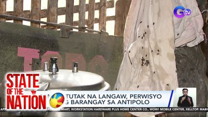 Sangkatutak na langaw, perwisyo sa isang barangay sa Antipolo | SONA