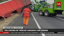 Vuelca tráiler cargado con cebada en la autopista México-Pirámides