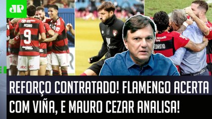 "É UMA BOA CONTRATAÇÃO DO FLAMENGO! É um jogador que pode..." Mauro Cezar ELOGIA e ANALISA Viña!