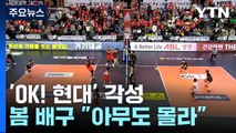 'OK! 현대' 각성...봄 배구 '아무도 몰라' / YTN
