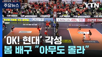 'OK! 현대' 각성...봄 배구 '아무도 몰라' / YTN