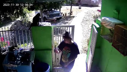 Woman Startled By Falling Cat