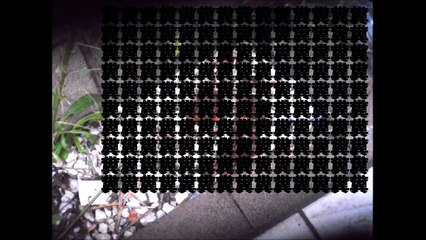 【再投稿】アパートの庭で一本糞するジジイとディベート一本勝負【加工済み】
