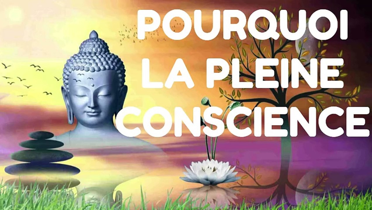 POURQUOI LA PLEINE CONSCIENCE