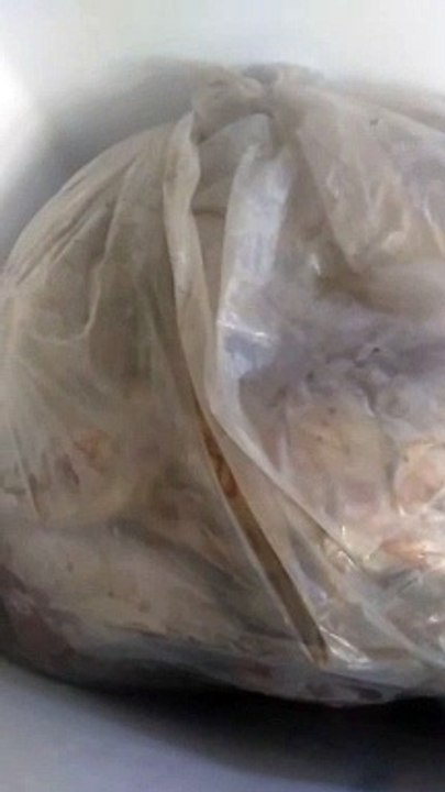 Cara mengawetkan pakan alternatif, matangkan dulu, lalu simpan di freezer