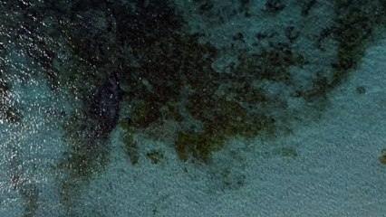 Crystal clear emerald water in a view from high above